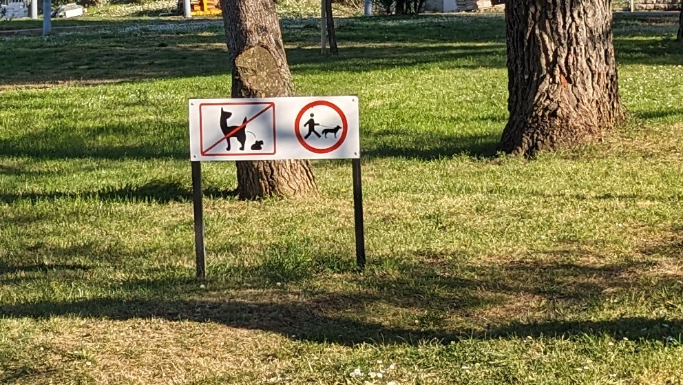 A sign in the field indicates that dogs must not defecate here but the dog has long neck appearing like a lama